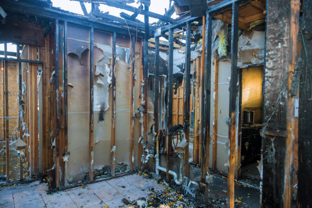 Professional Smoke Damage Removal technician working in Powell, AL